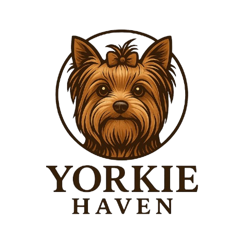 Yorkie Haven